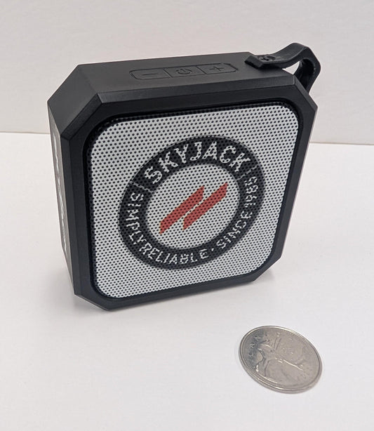Bluetooth Mini Speaker